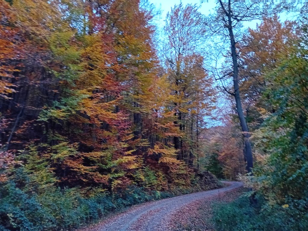 Volkmarshäuser Blatt 129